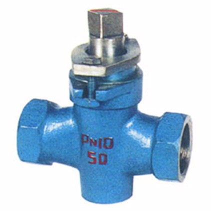 Two-way Internal Thread Stainless Steel Plug Valve